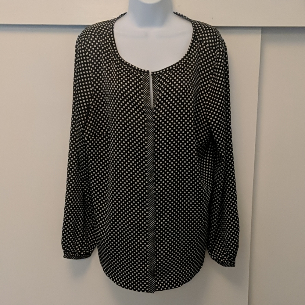 Ann Taylor Polka Dot Blouse